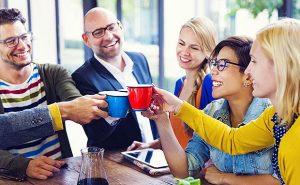 Divulgação: 7geese.com